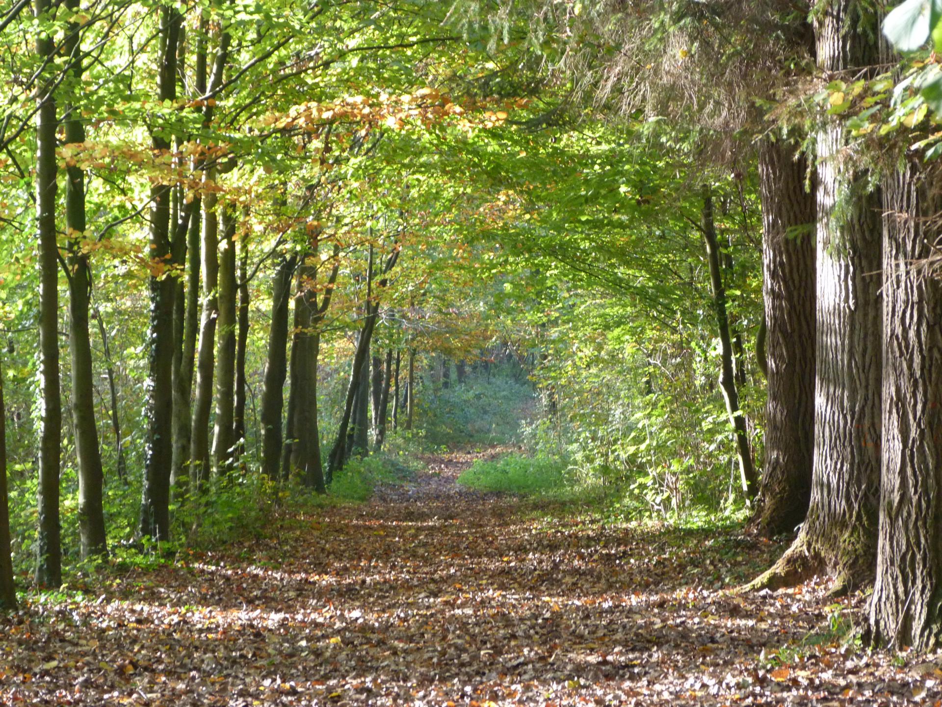 Sécurité et prévention Sainghinenmelantois